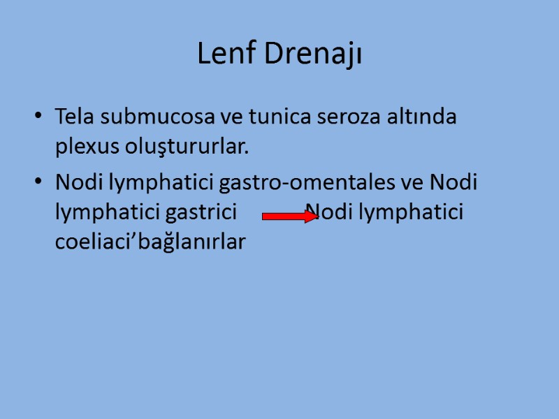 Lenf Drenajı Tela submucosa ve tunica seroza altında plexus oluştururlar. Nodi lymphatici gastro-omentales ve